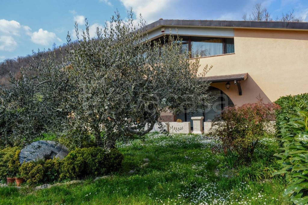 immagine annuncio 11 di 15