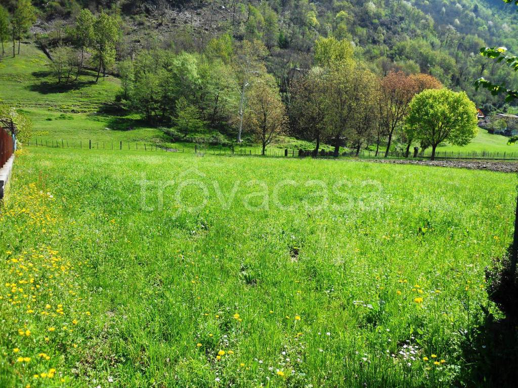 immagine annuncio 3 di 6