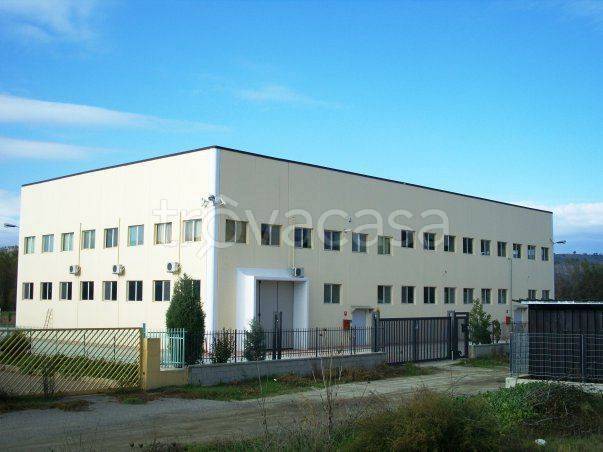 Capannone Industriale in in vendita da privato a Santa Sofia d'Epiro contrada Mandrie