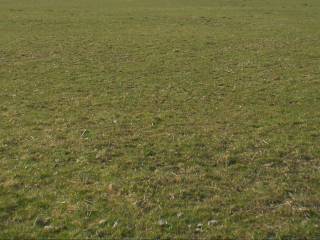 Terreno agricolo in vendita a porlezza via calbiga