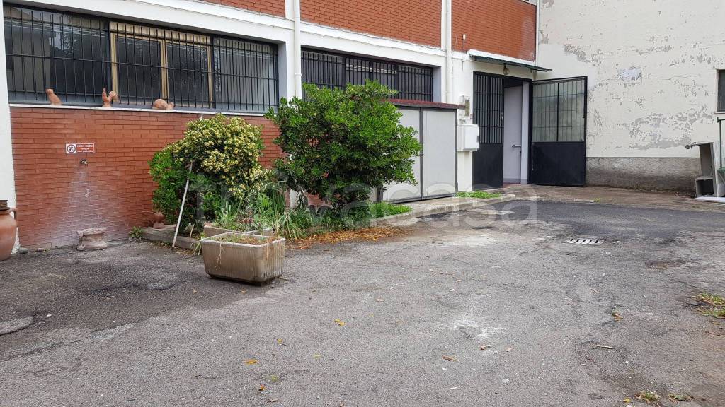 immagine annuncio 5 di 11