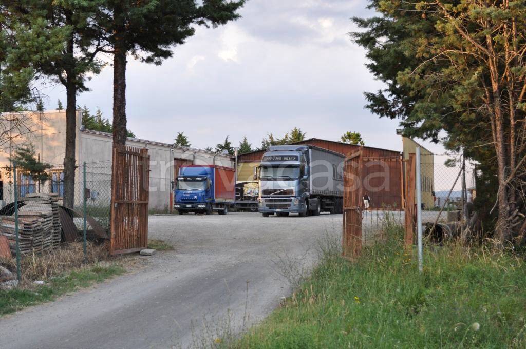 Capannone Industriale in in vendita da privato a Radicofani strada Statale di Sarteano, 41