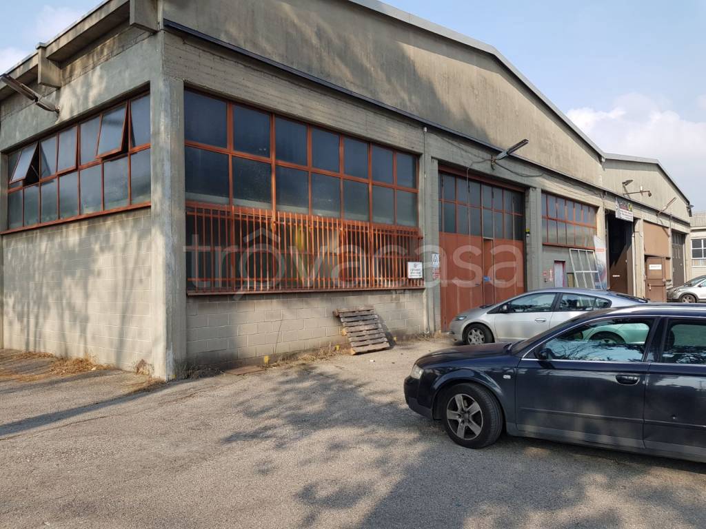 immagine annuncio 2 di 7