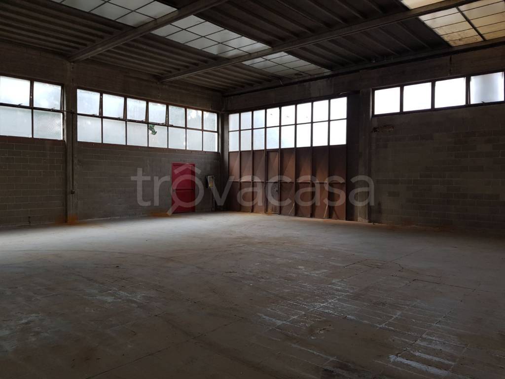 immagine annuncio 4 di 7