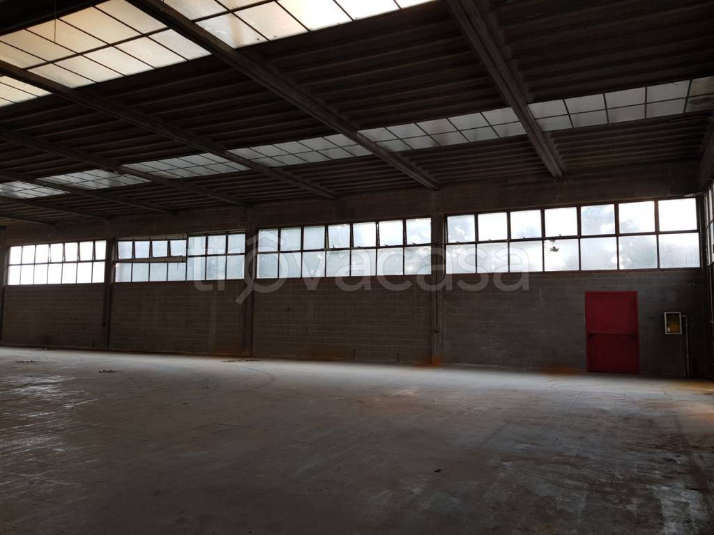 immagine annuncio 5 di 7