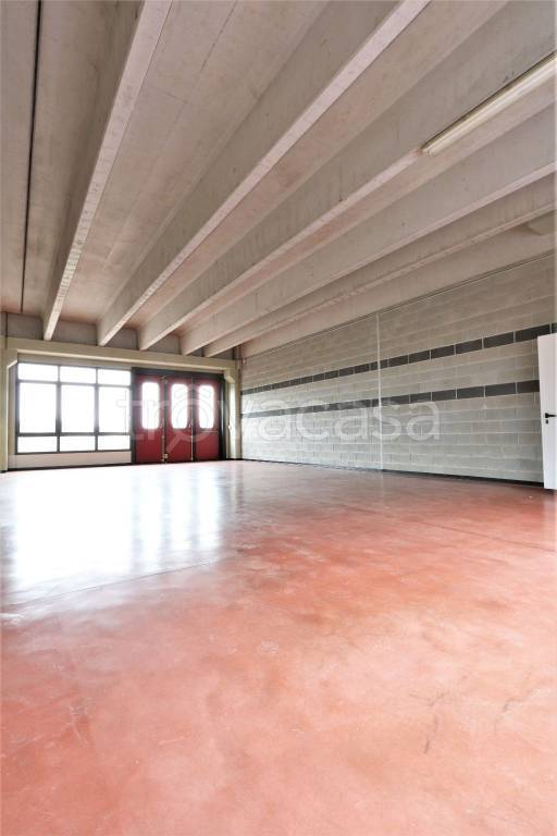 immagine annuncio 3 di 9