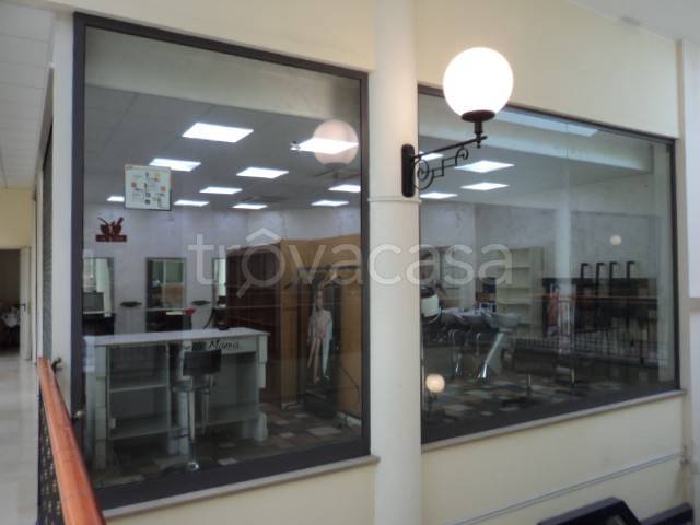 immagine annuncio 5 di 7