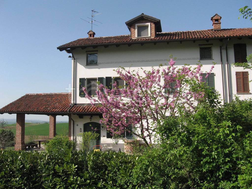 Casale in vendita a San Salvatore Monferrato strada Provinciale San salvatore-lu