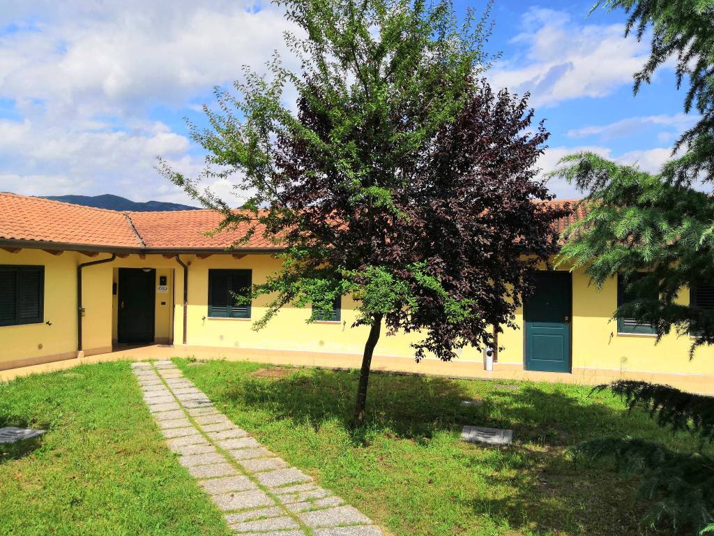 immagine annuncio 12 di 15