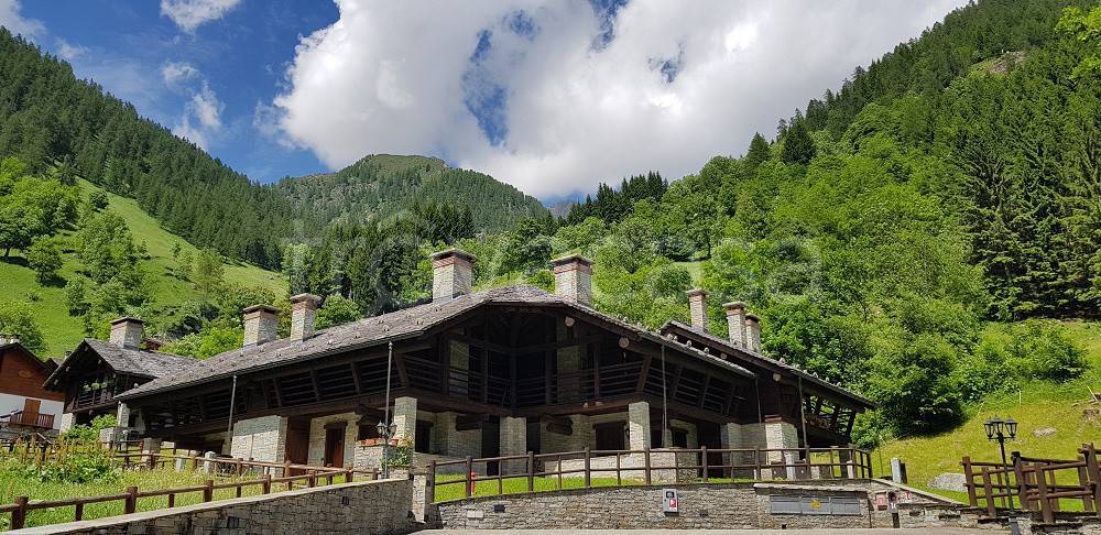 immagine annuncio 14 di 15