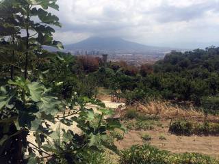 Terreno agricolo in vendita a napoli via antonio cardarelli