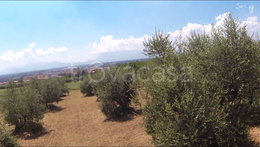 immagine annuncio 5 di 6