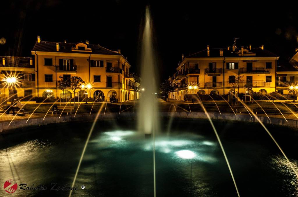 immagine annuncio 12 di 14