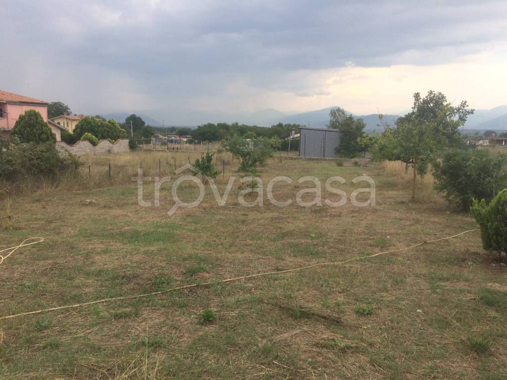 immagine annuncio 3 di 12