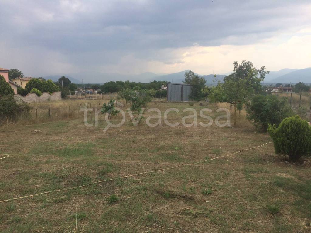 immagine annuncio 4 di 12