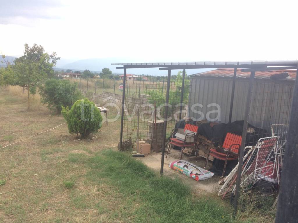 immagine annuncio 5 di 12