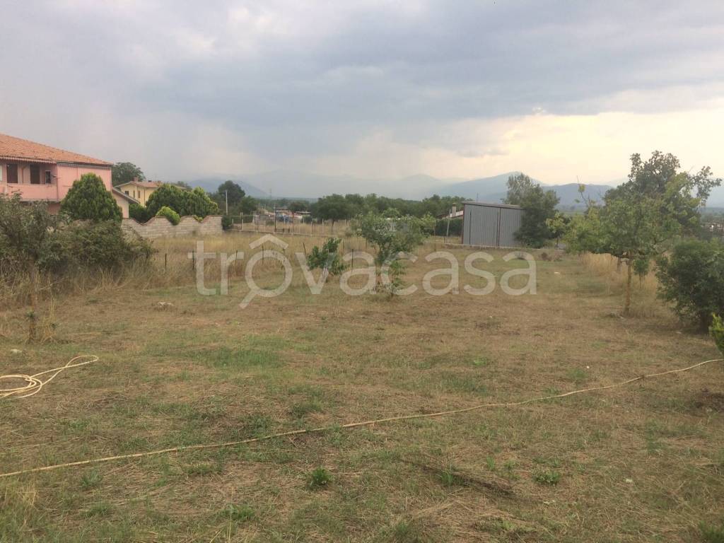 immagine annuncio 7 di 12