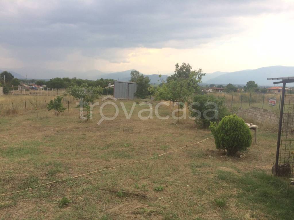 immagine annuncio 8 di 12