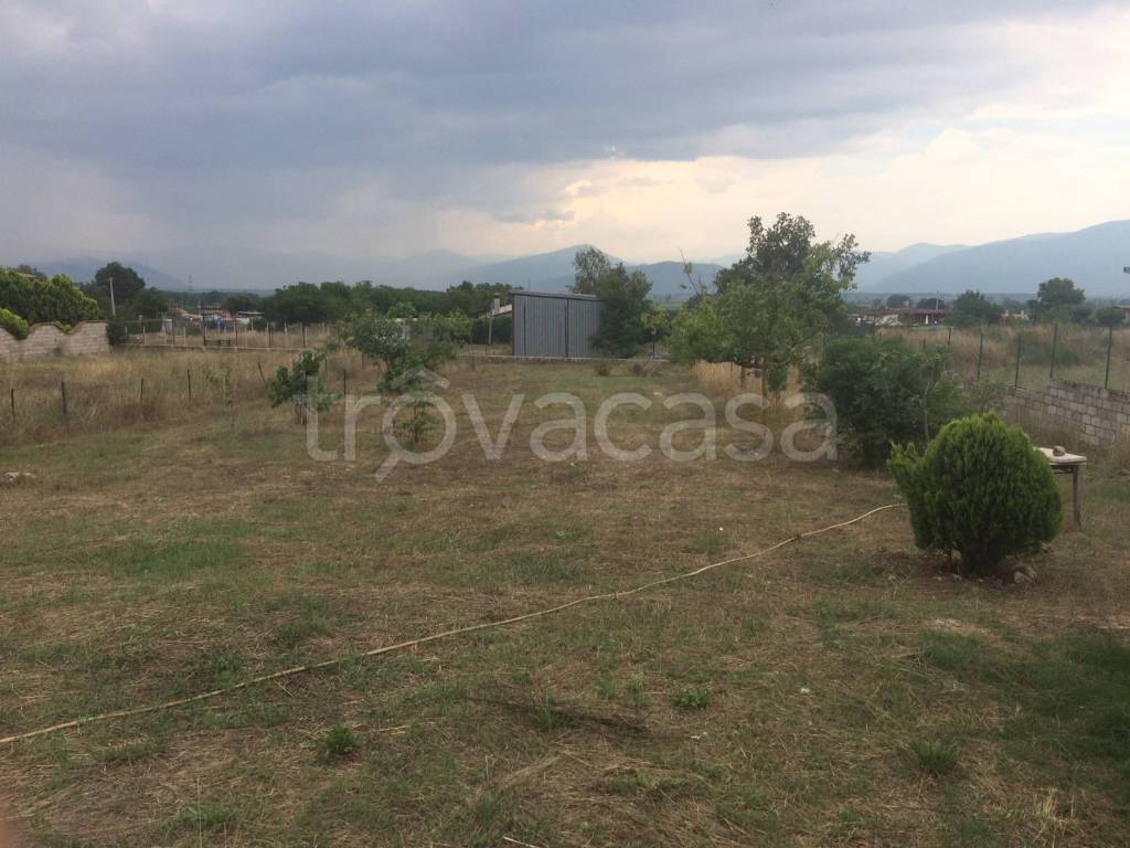 immagine annuncio 9 di 12