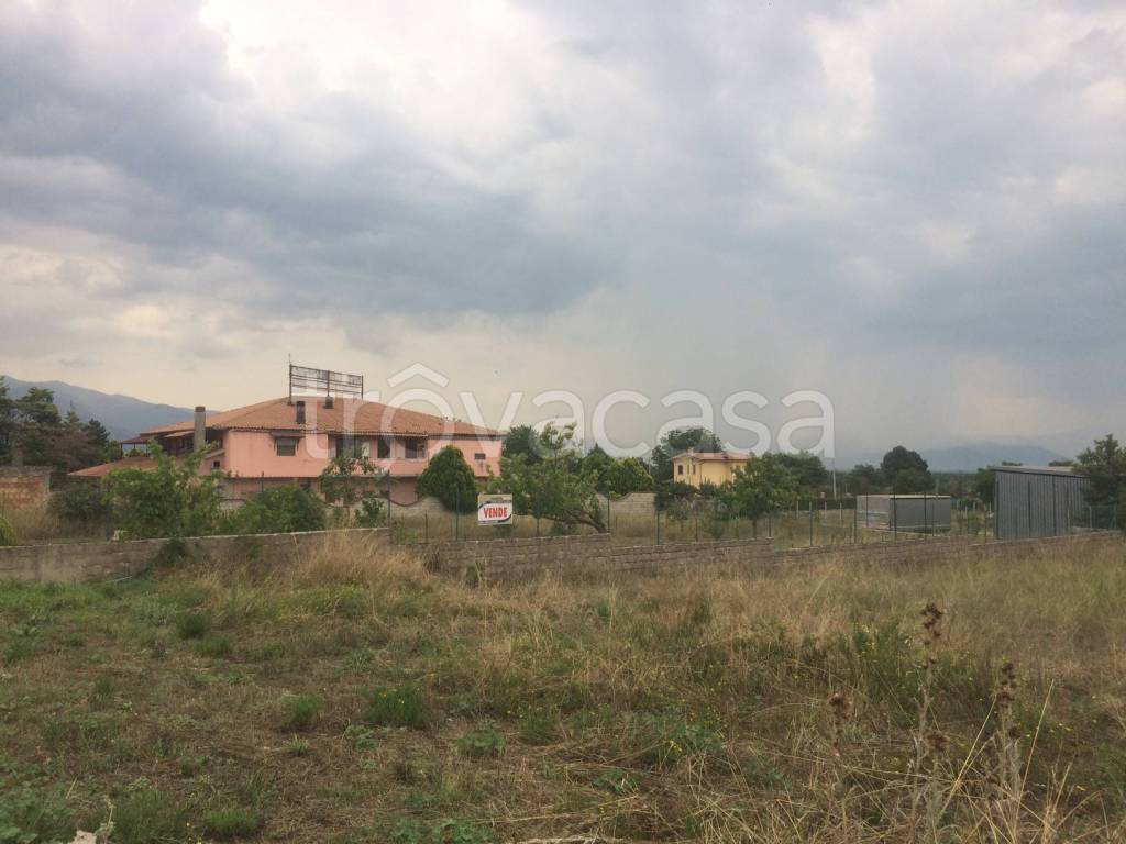 immagine annuncio 11 di 12