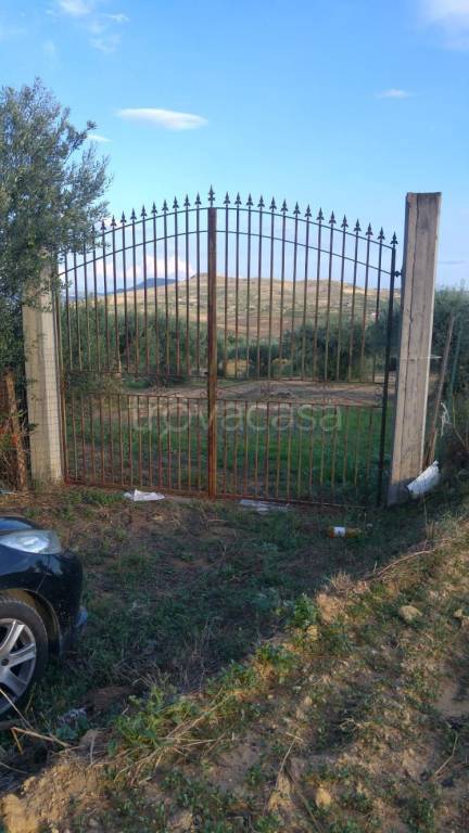 Terreno Agricolo in vendita a Barrafranca via Livorno
