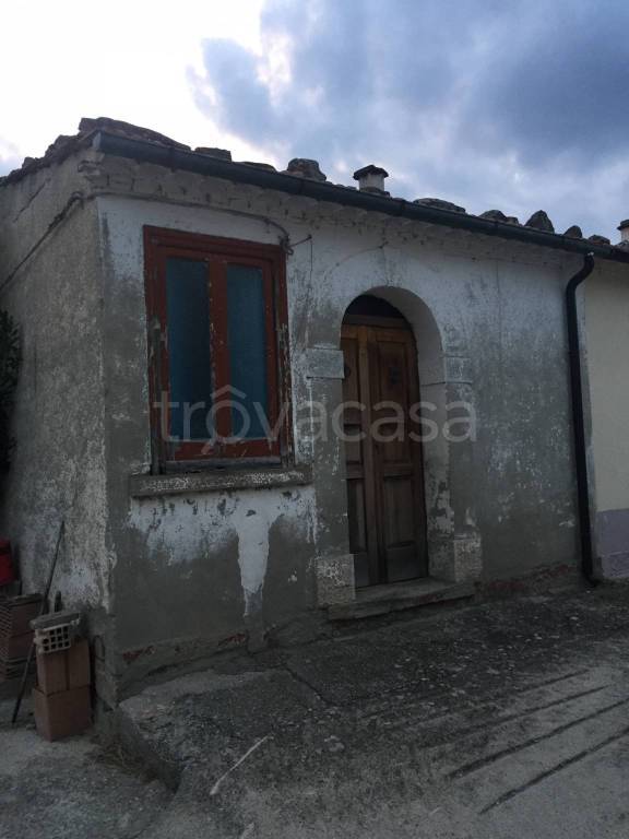 Appartamento in in vendita da privato a Schiavi di Abruzzo via Nino Zoppo