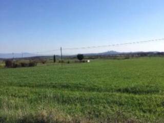 Terreno agricolo in vendita a bagnoregio strada provinciale cunicchio, 1