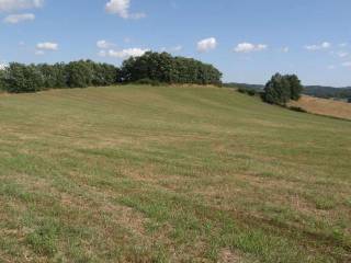Terreno agricolo in vendita a misano adriatico 