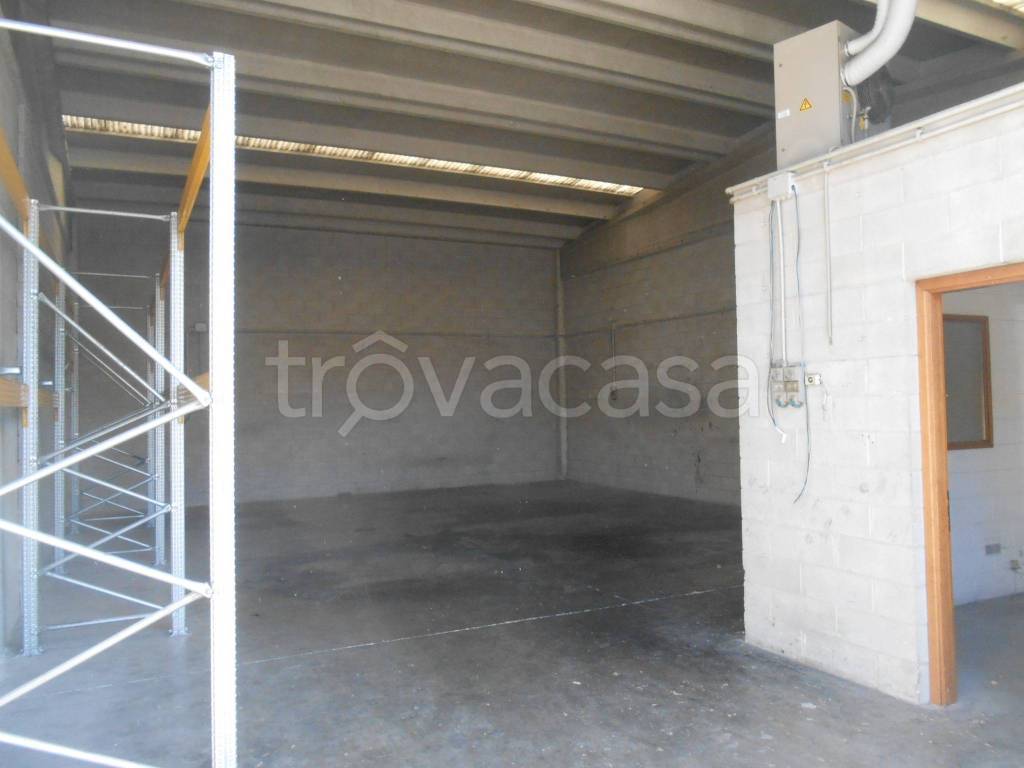 immagine annuncio 3 di 11