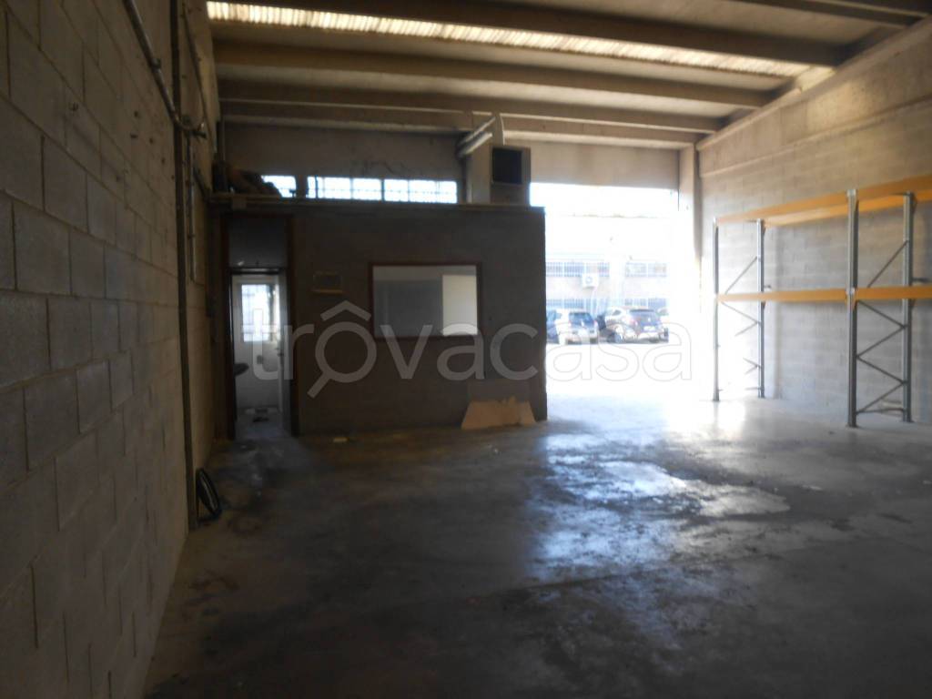 immagine annuncio 5 di 11