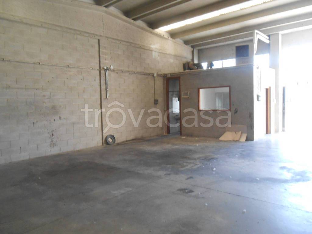 immagine annuncio 6 di 11