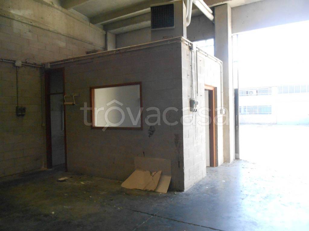 immagine annuncio 8 di 11