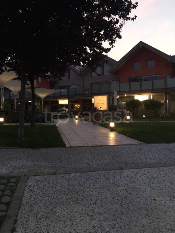 immagine annuncio 12 di 15