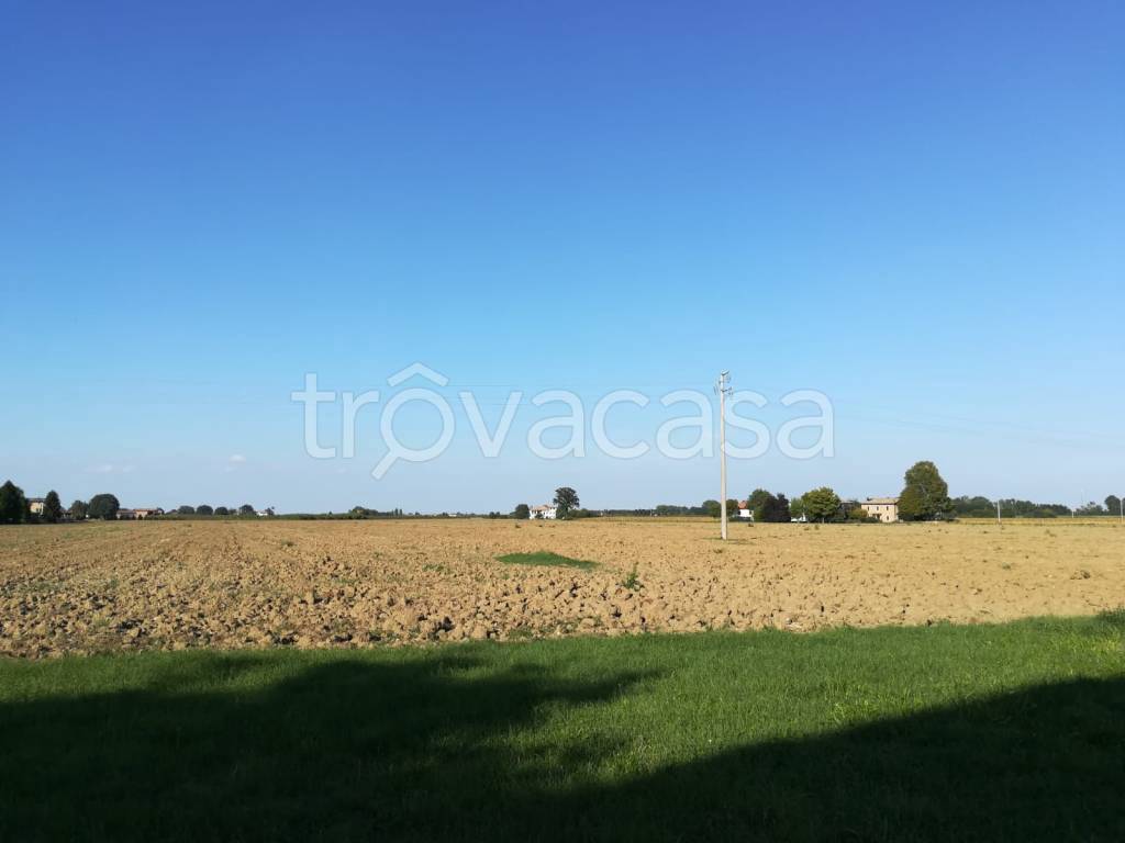 Terreno Agricolo in vendita a Valsamoggia