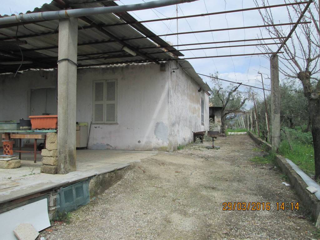immagine annuncio 2 di 12