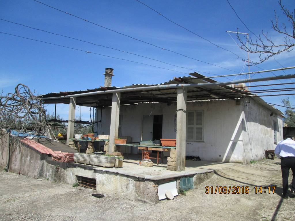 immagine annuncio 8 di 12