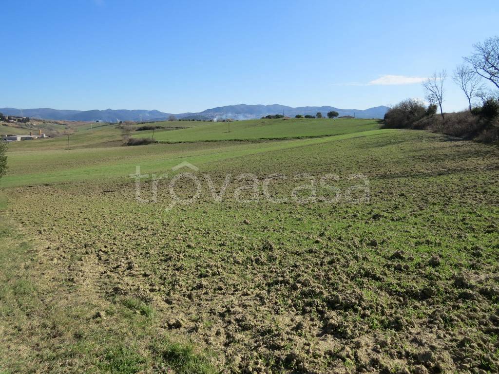 Terreno Agricolo in vendita a Castellina Marittima via Emilia