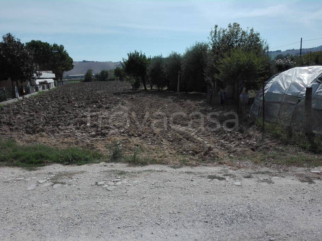 Terreno Residenziale in vendita a Sant'Elpidio a Mare via Concetto Marchesi, 201