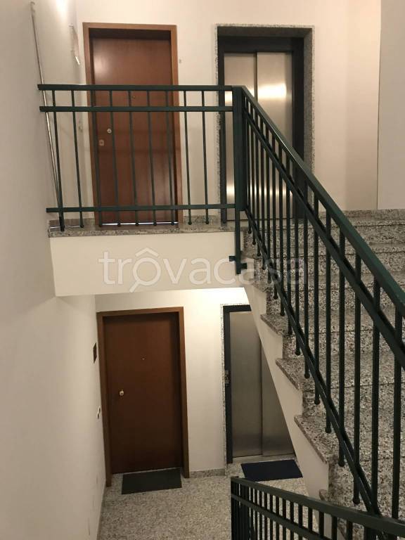 immagine annuncio 4 di 7