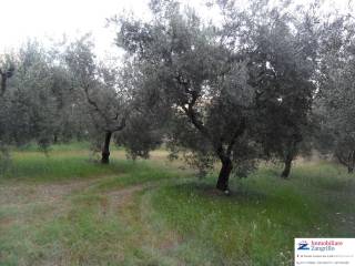 Terreno agricolo in vendita a formia 