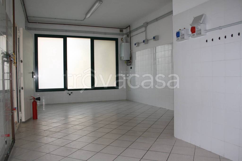 immagine annuncio 6 di 8