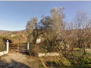 Terreno agricolo in affitto a bolsena strada regionale cassia