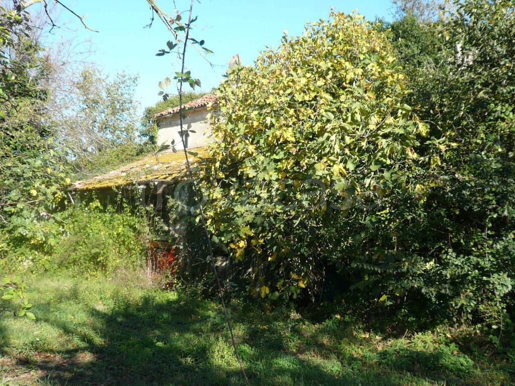 immagine annuncio 9 di 12
