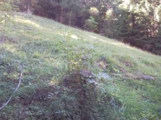 Terreno agricolo in vendita ad aymavilles frazione pesse