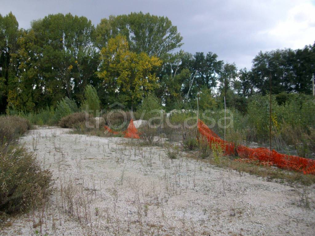 immagine annuncio 3 di 6