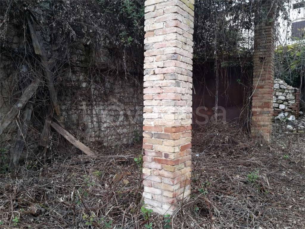 immagine annuncio 1 di 2