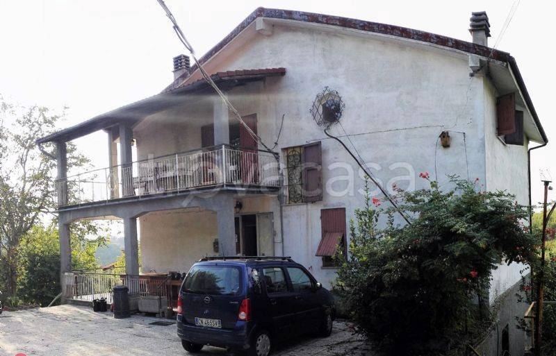immagine annuncio 11 di 14