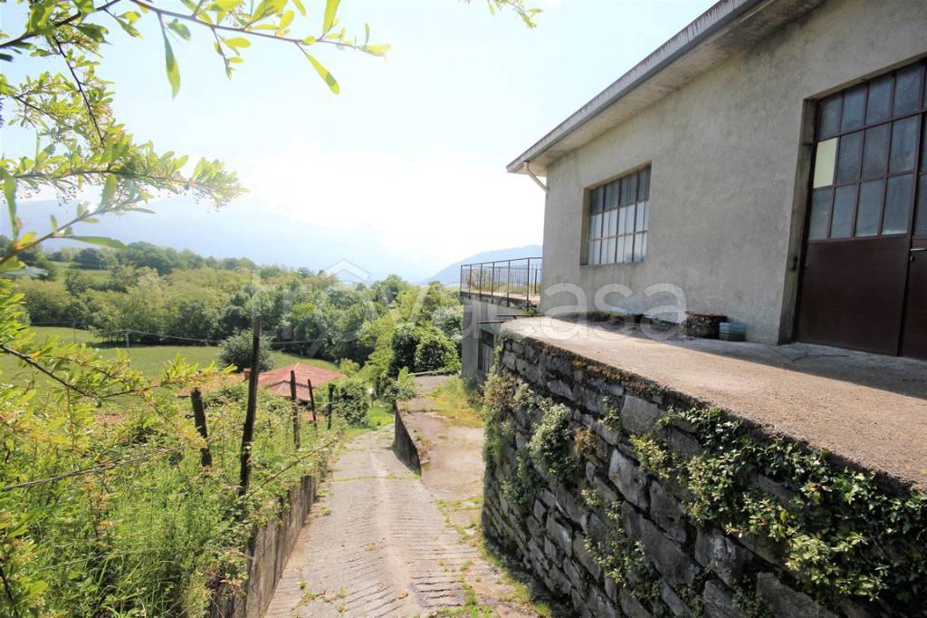 immagine annuncio 8 di 11