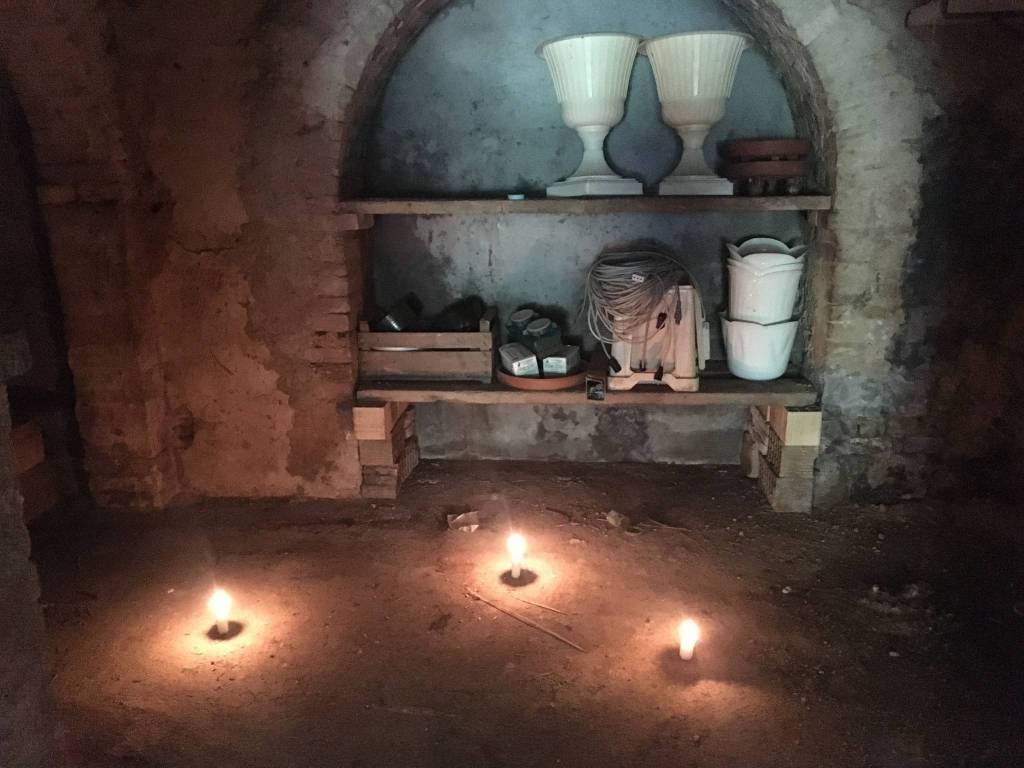 immagine annuncio 5 di 11