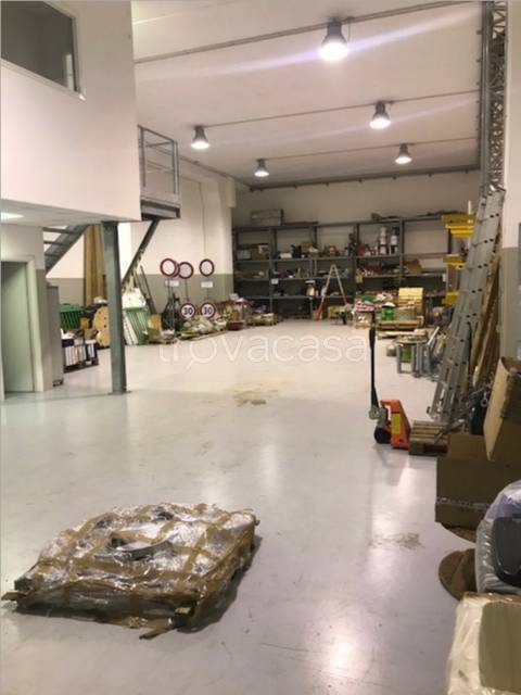 immagine annuncio 4 di 13